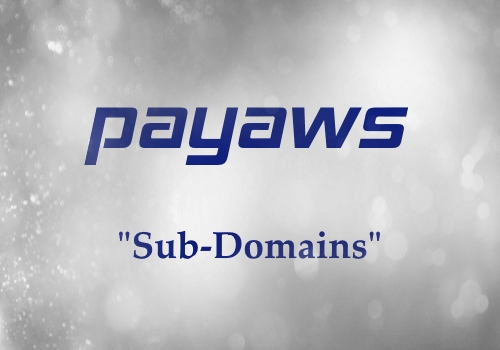 payAWS Support Portal